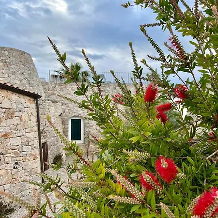 Magico Salento 1/2/3